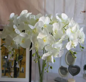 10vnt Kandys, Orchidėja, gėlių, drugelių orchidėja dirbtinių gėlių namuose ir sode vestuvių papuošimas nemokamas pristatymas