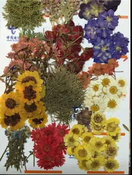 260pcs Asorti Presuotų Džiovintų Gėlių, Lapų, Augalų Herbariumas Papuošalai Pakabukas Žiedas, Auskarai, Gėlių Priėmimo Priedai