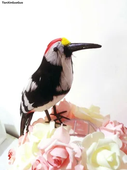 Modeliavimo genys plunksnų paukštis sunku modelį, apie 30cm namų, sodo puošmena papuošalai žaislas s1481