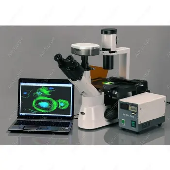 Fazių Kontrasto-AmScope Prekių 40x-800x Planą Fazių Kontrasto Kultūros Invertuotas Fluorescencinis Mikroskopas prekės KODAS: IN300TB-FL